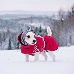 Hurrta Extreme Warmer Dog Parka